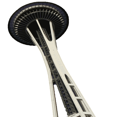 Seattle Needle