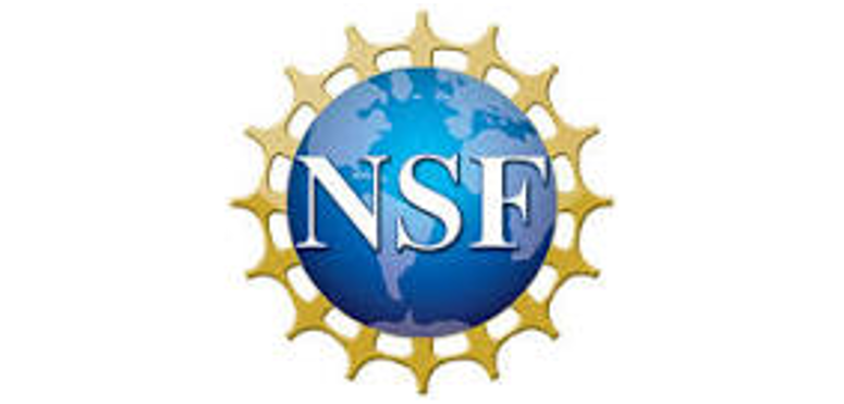 NSF Logo